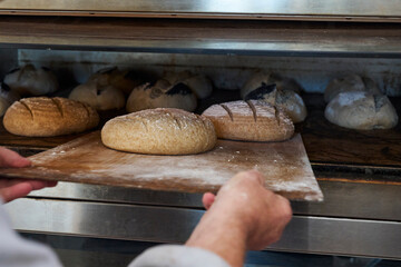 Close Up Of Male Baker Checking On Sourdough Loaves In Bakery Oven