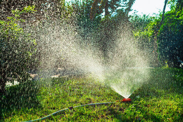Garden lawn sprinkler spraying water over green grass during summer day irrigation