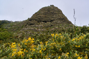 Rocky volcanic crag with yellow wildflowers