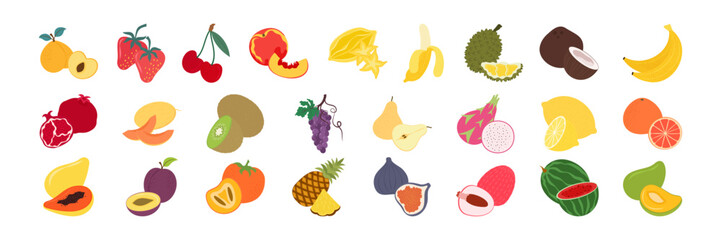 Colorful tropical and seasonal fruits flat illustration