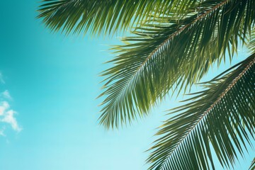 Fototapeta premium Tropical palm tree leaves swaying gently in the breeze against a vibrant clear blue sky, evoking a sense of tranquility and relaxation