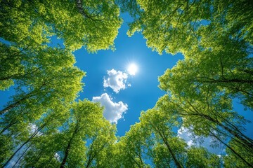 Sunlight shines through a circular canopy of lush green trees against a bright blue sky with scattered clouds.