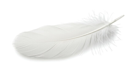Obraz premium Angelic Softness: A single, pristine white feather lies gently, its delicate structure and ethereal lightness evoking feelings of purity, peace, and gentle comfort.
