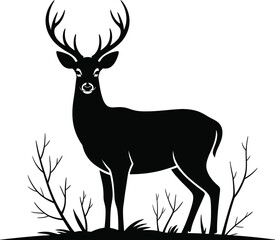 Majestic stag standing in sparse vegetation deer antlers