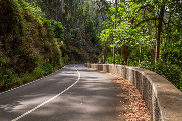 Obraz premium The curve on the old road in Laurisilva Forest on Madeira Island, Portugal | Zakręt na starej drodze w lesie laurowym na wyspie Madera, Portugalia