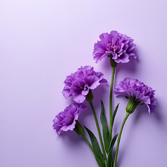 Modern artistic composition of purple and white carnations on a clean, muted background with symmetrical balance 