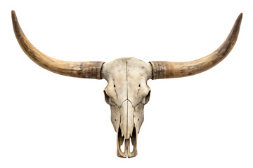 Isolated longhorn skull with large horns on transparent background