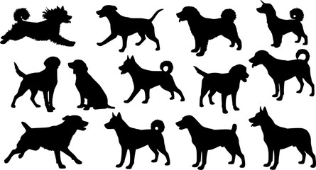 Fototapeta premium Vector silhouette of a dog on a white background. 