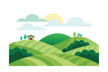 Obraz premium A Peaceful Tea Plantation On A Hillside Covered In Fog