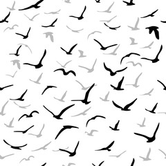 Flock of flying silhouette birds. Birds seamless pattern. White seagulls on a blue background. Vector