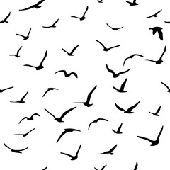 Flock of flying silhouette birds. Birds seamless pattern. White seagulls on a blue background. Vector