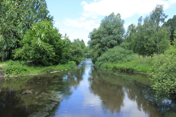 Summer. View of the river in the city park. Russia.