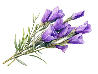 Naklejka premium Beautiful watercolor illustration of bouquet of purple flowers with green leaves, showcasing delicate petals and natural, artistic style