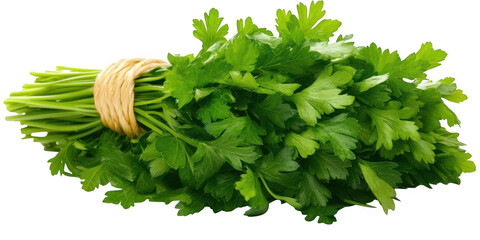Bunch of fresh parsley tied up on transparent png photo