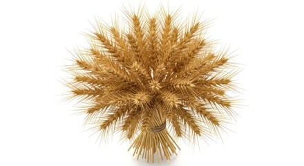 Golden Wheat Bundle with Spiky Stalks on White Background for Agricultural and Food Marketing
