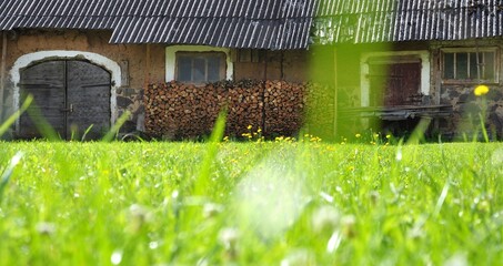 Rural environment background. Grasslands and flower beds in the foreground, close-up. Authentic ancient clay farm building in the blurred background. Tranquility, daylight, simple, idyllic image