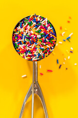 Ice Cream Scoop with Sprinkles Vertical Shot