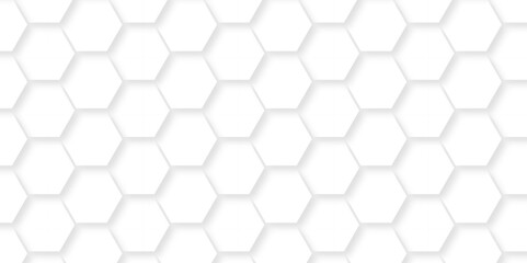 Abstract geometric vector minimal white lines Hexagonal structure futuristic white background and Embossed Hexagon , honeycomb white mosaic cell web ,light and shadow texture design.	
