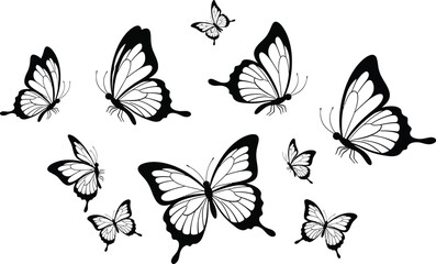 Vector art of a group of black and white butterflies are flying around on a white background, creating a beautiful and delicate scene