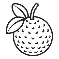 vector illustration of an lychee