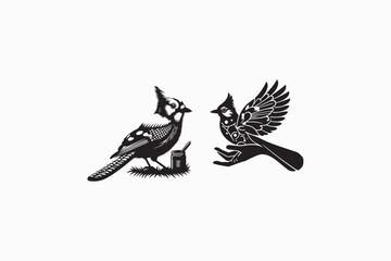 A Jay bird vector silhouettes image made by adobe illustrator. eps