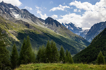 Naklejka premium Scenic view of rugged alpine mountains in Switzerland with rocky peaks, green slopes, and scattered trees under a blue sky with white clouds.