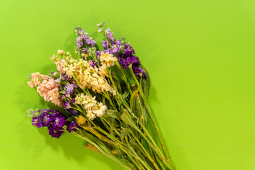 Colorful Stock Flowers Flat Lay