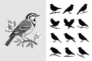 Fototapeta premium BlackandWhite Bird Illustration Detailed Sparrow on Branch with Flowers and Silhouette Birds