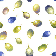 Seamless pattern watercolor green blue olive fruits. Juicy tasty healthy berries fruit olives. Hand painted floral illustration transparent background. Drawings food. Edible foliage. For menu wrapping