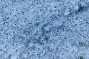 Aerial view of marabou stork footprints in drying clay of Deception Valley, Central Kalahari. Ideal for: African wildlife tracking, abstract nature prints, and conservation themes. 