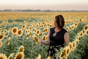 Middle aged woman in a sunflower field at sunset in summer