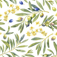 Watercolor green olive fruit branch seamless pattern. Hand painted floral illustration, tree branches, flowers bloom, leaves transparent background. Drawings food. Edible foliage. For menu, wrapping 