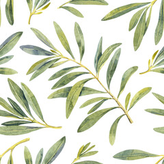 Seamless pattern watercolor olive green branch. Hand painted floral illustration olives tree branches leaves transparent background. Drawings foliage. Fabric, wrapping, decor, wedding stationary gift