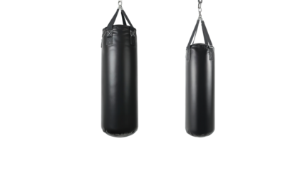 punching bag png