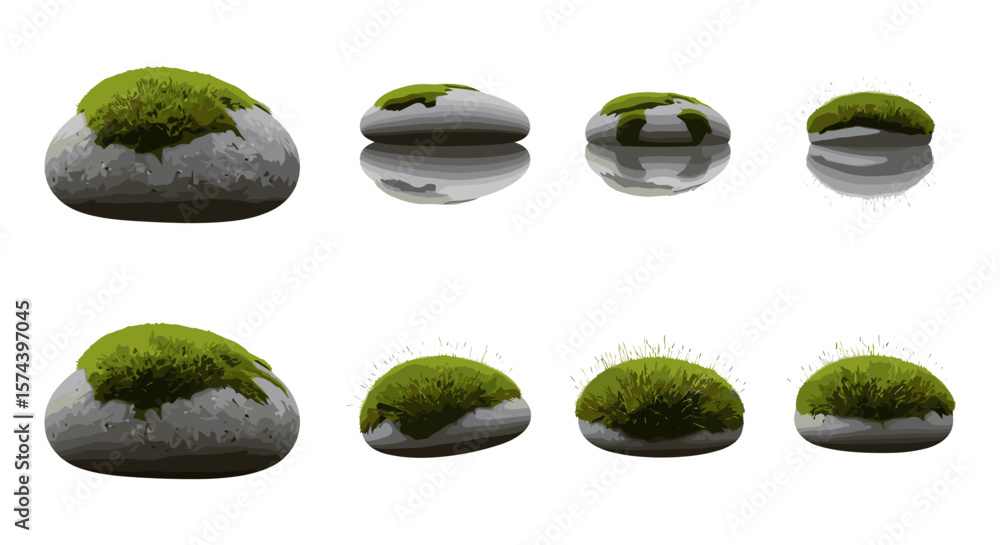 Poster a collection of mossy stones displayed in a grid pattern against a white background showing reflecti