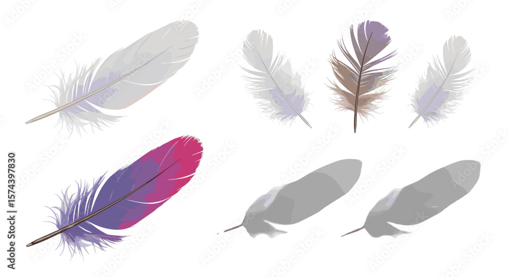 Aufkleber illustration displaying a collection of feathers with varying colors and shading on a white backgrou