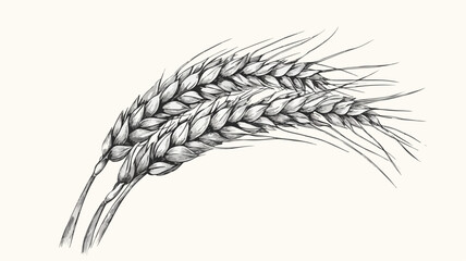 Vintage Wheat Ear Woodblock Print on Black Background
