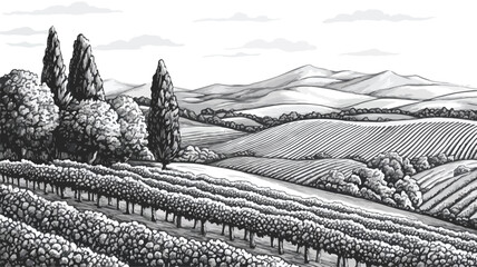 Vintage Vineyard Engraving with Rolling Hills - Scenic Landscape Artwork