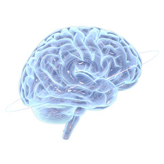 Transparent blue human brain with glowing neural pathways and light rings