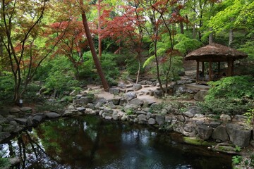 Serene Japanese Garden with Gazebo