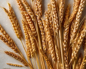 Golden wheat stalks with textured grains brown