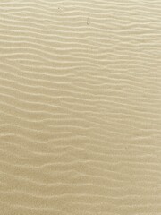 Beach Sand Texture Wind Ripples