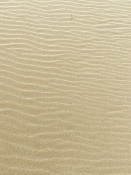 Beach Sand Texture Wind Ripples