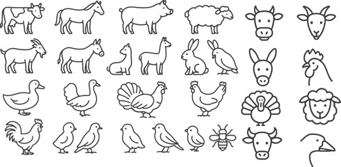 Farm animals and birds collection horse sheep