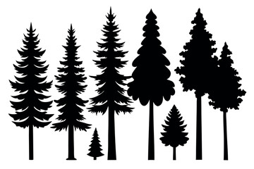 Obraz premium Silhouettes of Pine and Fir Trees in a Natural Forest Setting – Vector Design