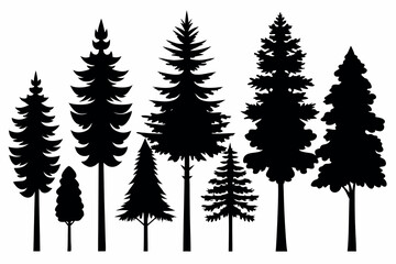 Fototapeta premium Evergreen Pine Tree Vector Silhouettes – Isolated Set with White Background