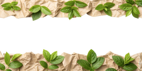 Natural leaves framed by crumpled paper texture, cut out