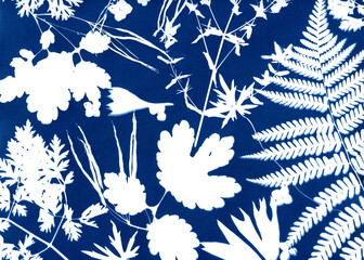 Floral pattern created with cyanotype a kind of antique photography with freshly dried flowers and plants. Leaves and flowers silhouettes. 