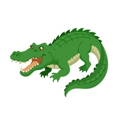 Fototapeta premium Green Alligator with Sharp Teeth