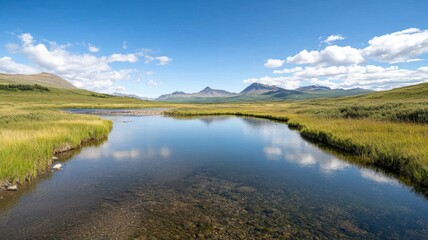 Scenic Mountain River Flowing Through a Green Valley Under Blue Sky river valley mountain green pure